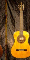 Special 01